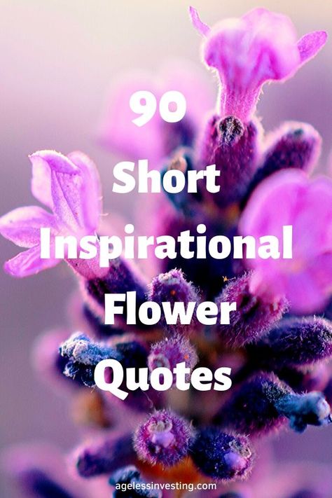 90 inspirational, funny, cute, sad, and deep flower quotes to share love and beauty. A blooming flower is one of the most beautiful sights in the world. Flowers teach about love, life, and gratitude. They remind you to stop and be thankful for the blessings in your life while they are here. They also are an example of love and sacrifice, a flower dies to make way for a new life. They may be small and delicate, but they are full of wisdom. #flowerquotes #flowers #beautiful #quotes Giving Flowers Quotes, Flower And Woman Quotes, Be A Flower Quotes, Quotes About Getting Flowers, Beautiful Quotes About Flowers, Pretty Is As Pretty Does Quote, The Power Of Flowers, Give Her Flowers Quotes, Happiness Blooms From Within Quotes