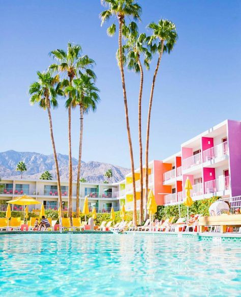 The Saguaro Palm Springs Saguaro Hotel Palm Springs, Minimal Nursery Decor, Desert Landscape Photography, Spring Architecture, Palm Springs Party, Saguaro Hotel, Palm Springs Pool, Palm Springs Houses, Cactus Photography