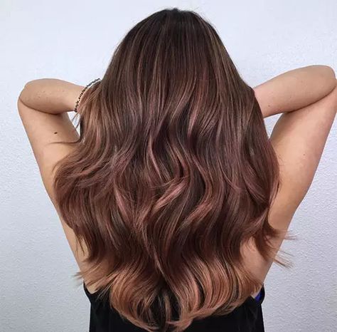 35 Rose Brown Hair Shades That Will Inspire You To Visit The Salon Rose Brown Hair, Light Brown Hair Shades, Brown Hair Cuts, Guytang Mydentity, Brown Hair Trends, Brown Hair Shades, Brown Ombre Hair, Brown Hair Looks, Chocolate Hair