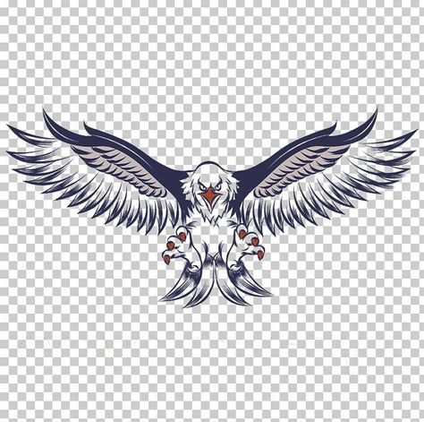 Egal Bird Png, Eagle Bird Tattoo, Baaz Png, Egal Bird Wallpaper, Realistic Owl Tattoo, Eagle Clipart, Eagle Png, Fly Drawing, Eagle Artwork