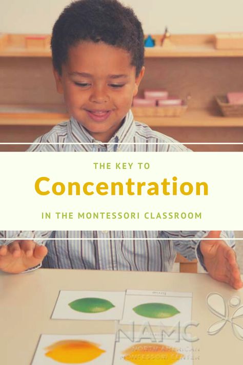 Montessori Inspired Classroom, Montessori Resources, Montessori Activities Preschool, Montessori Method, Montessori Lessons, Montessori Room, Avoid Distractions, Montessori Ideas, Montessori Classroom