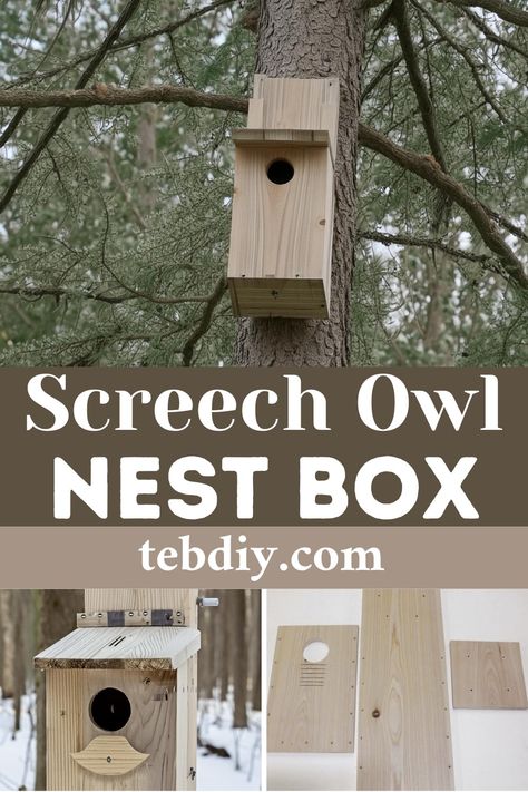 How To DIY Screech Owl Nest Box Using Cedar Screech Owl Box Plans, Owl Houses Diy How To Build, Owl Box Diy, Diy Owl House, Owl Nesting Boxes, Owl Nest Box, Owl Nest, Eastern Screech Owl, Owl Box