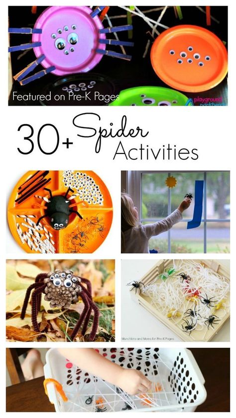 More than 30 activities for teaching and learning about spiders at home or in the classroom. Fun spider activities for kids! Spider Web Crafts, Spider Theme Preschool, Spider Lessons, Spiders Preschool, Halloween Theme Preschool, Spider Web Craft, The Very Busy Spider, Spider Activities, Bubbles Art