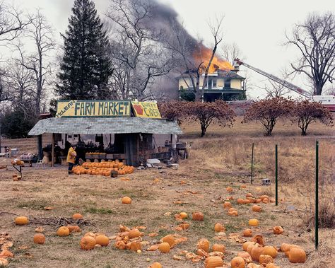 Joel Sternfeld, McLean, Virginia, December 1978, 1978 (printed 2003). Digital c-print, Edition of 10 + 2 AP, 106.7 x 133.3 cm / Paper122 x 148.6 cm / Framed 125.9 x 153 x 5.7 cm. Zabludowicz Collection © Joel Sternfeld; Courtesy of the artist and Luhring Augustine, New York. Joel Sternfeld, Mclean Virginia, Andreas Gursky, William Eggleston, Robert Frank, Josef Albers, Farm Market, Composition Photography, Contemporary Photographers