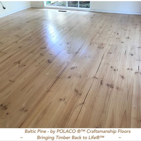 Sanding Wood Floors, Pine Floorboards, Cypress Pine, Sand Floor, Pine Flooring, Floor Sanding, Timber Floor, Shiplap Ceiling, Sanding Wood