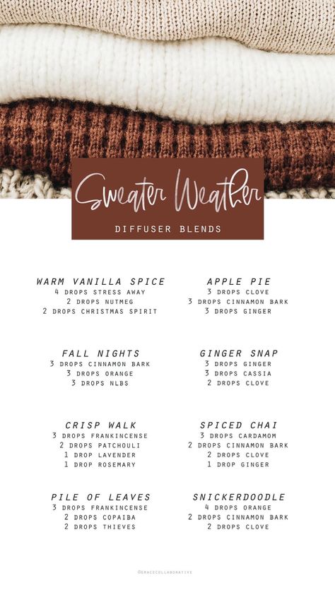 Young Living Essential Oil Diffuser, Perfume Blends, Living Oils Recipes, Fall Essential Oils, Fall Diffuser Blends, Essential Oil Combinations, Simmer Pot, Essential Oil Diffuser Blends Recipes, Young Living Essential Oils Recipes