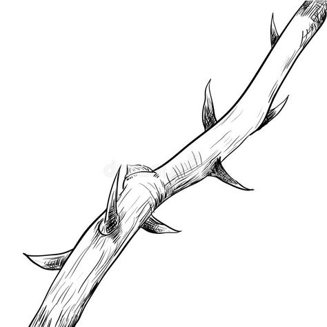 Hand drawing of thorn-vector Illustration. Hand drawing of Thorn. Black and Whit #Sponsored , #sponsored, #sponsored, #drawing, #vector, #Black, #thorn Thorn Drawing, Rose Thorn Tattoo, Bush Drawing, Thorn Tattoo, Vine Drawing, Jungle Nature, Forest Drawing, Line Vector, Background Drawing