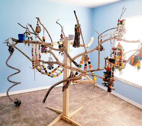 Parakeet Cage Ideas Diy Bird Aviary, Parrot Room Ideas, Bird Room Ideas Diy, Bird Cage Ideas Indoor, Parakeet Cage Ideas Diy, Indoor Bird Aviary, Indoor Bird Room Ideas, Bird Room Ideas, Parrot Room