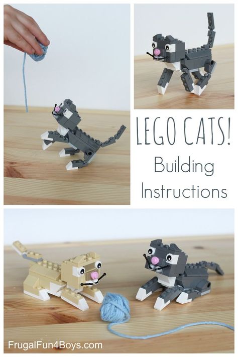 What could possibly be cuter than a real kitten? Probably a LEGO kitten. Use these simple instructions to create your own LEGO feline friends. Lego Dog, Lego Challenge, Lego Club, Lego Diy, Lego Animals, Lego Activities, Lego Craft, Ideal Toys, Lego Minecraft