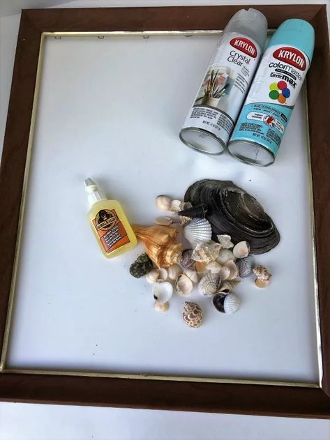 Beach Frames Diy, How To Frame Seashells, Preserving Seashells, What To Do With Sea Shells From Vacation, What To Do With Seashells From Vacation, Display Seashells Ideas, What To Do With Shells From The Beach, How To Display Sea Shells, Things To Do With Shells From The Beach