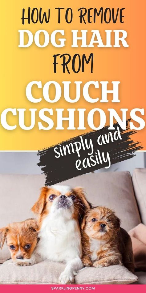 dogs on a couch - in is about how to remove dog hair from couch cushions Clean Fabric Couch, Cleaning Leather Couch, Dog Pee Smell, Dog Hair Cleaning, Dog Hair Removal, Smelly Dog, Cleaning Pet Hair, Short Dog, Dog Couch