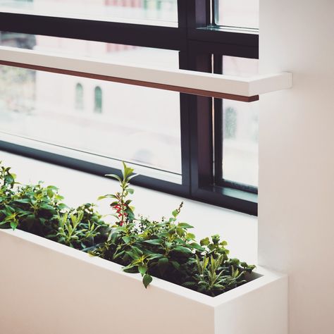 ERA designed this window box to be installed *inside* the apartment to provide fresh herbs and produce for the kitchen. A grow light is recessed inside a solid wood plank, which hovers above the planter on a steel arm. Kitchen Window Garden, Indoor Window Planter, Window Planter, Window Kitchen, Window Planters, Indoor Window, Kitchen Herbs, Herb Planters, Grow Light