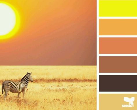 Delicious colors. African Safari Theme, Seeds Color, Wedding Color Pallet, African Colors, African Decor, Design Seeds, Safari Theme, Color My World, Colour Inspiration