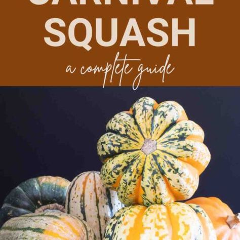 Carnival Squash Recipe - Fas Kitchen Carnival Acorn Squash Recipes, Carnival Squash Recipes Roasted, Carnival Squash Recipes, Carnival Squash, Acorn Squash Recipes, Acorn Squash, Recipe Images, Squash Recipes, Fun Cooking