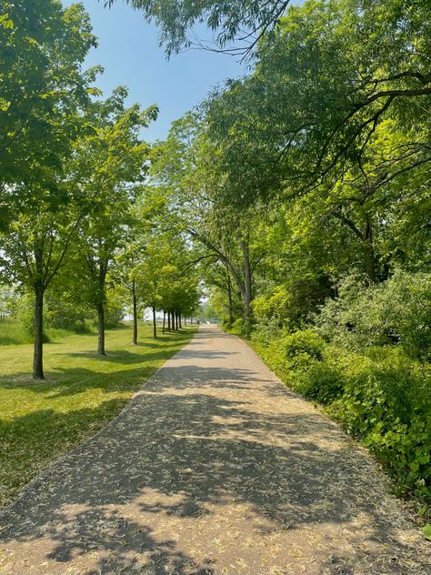 summer • forest • trail • summertime • walk • hiking • nature • greenery Nature Trail Aesthetic, Walking Trail Aesthetic, Trail Aesthetic, Walking Aesthetic, Summer Walks, Summer Forest, Nature Trails, Summer Hike, Hiking Nature