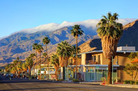 10 must-book restaurants in Palm Springs Palm Springs Restaurants, Book Restaurant, Parisian Bistro, Red Bar, Palm Spring, Restaurant Lounge, Oyster Bar, Palm Desert, American Restaurant