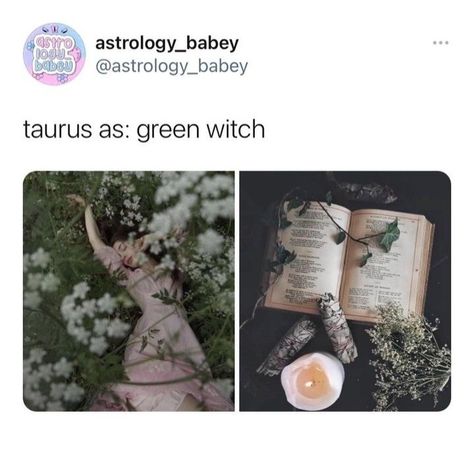 Taurus Women Aesthetic, Taurus Witch, Taurus Style, Taurus Vibes, Taurus Things, Taurus Aesthetic, Zodiac Aesthetic, Taurus Sun, Taurus Zodiac Facts