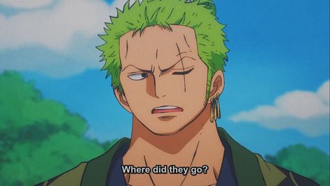 Roronoa Zoro on Twitter: "I’m lost again !?😞… " Zoro Roronoa, رورونوا زورو, One Piece Ace, Zoro One Piece, One Piece Pictures, Anime Screenshots, Fictional Crushes, Nico Robin, Roronoa Zoro