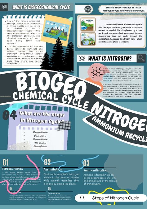 Nitrogen Cycle, Geology, Cycling, Science, Education, Quick Saves