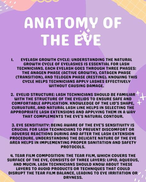 Understanding the Anatomy of the Eye: A Guide for Lash Technicians #eyeanatomy #lashknowledge 🌸 Eye Anatomy, For Lash, April 22, The Eye, Trend Setter, Anatomy, Lashes, On Instagram, Quick Saves