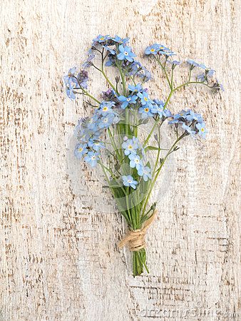 Blue Rustic Wedding Bouquet, Dried Forget Me Nots, Forget Me Not Bouquet, Buckwheat Flower, Organic Bouquet, Forget Me Not Blue, Flowers Bunch, Garden Rustic, Wedding Aesthetics