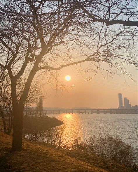 Han River Aesthetic, River Aesthetic, Autumn In Korea, River Sunset, Han River, Learn Korean, Forget Me Not, The Fruit, Not Enough