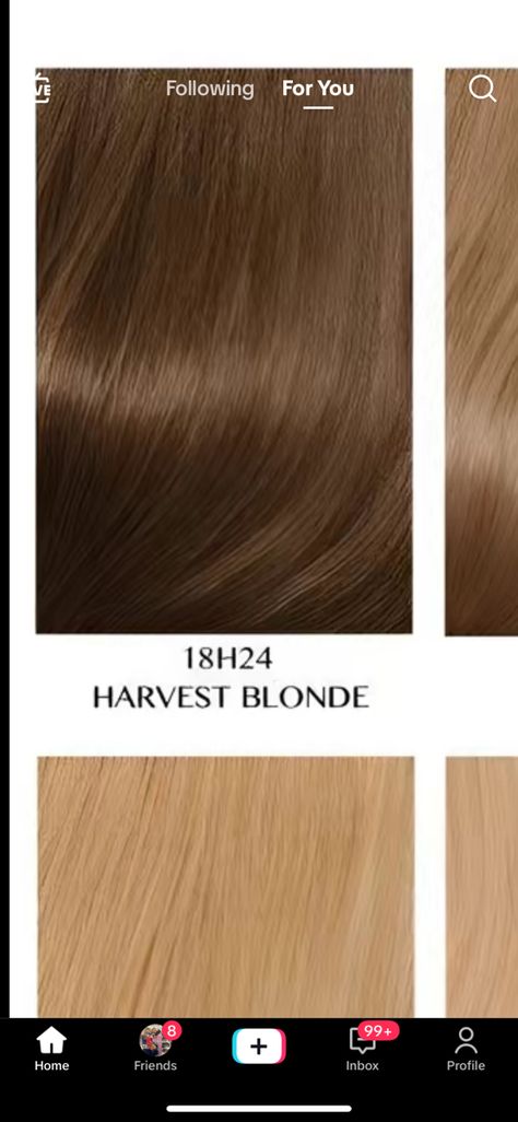 Harvest Blonde Hair, Harvest Blonde, Hair 2024, New Hair Colors, Hair Dye, Blonde Highlights, Dream Clothes, New Hair, Dyed Hair