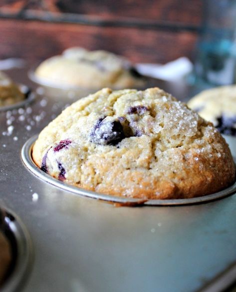 Homemade Muffin Mix Homemade Muffin Mix, Quick Bread Recipe, Danish Dough, Chomp Chomp, Blueberry Chocolate, Homemade Muffins, Lemon Muffins, Muffin Mix, Different Fruits