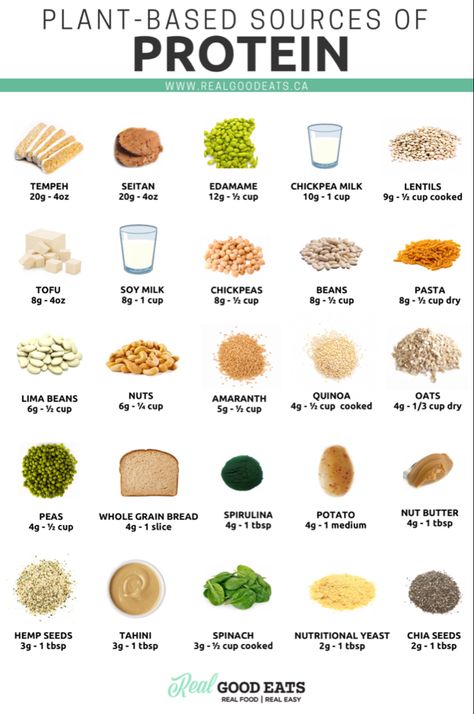 Highest Vegan Protein Sources, Protein Rich Foods Vegetarian Indian, Vegan Protein Snacks, Dairy Substitutes, Best Vegan Protein Powder, Plant Based Protein Sources, Wfpb Diet, Sources Of Protein, Vegetarian Protein Sources