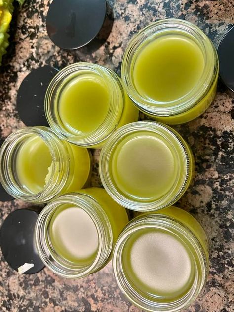 Harnessing Nature's Healing Power: DIY Plantain Salve Recipe Using the Magic Butter Machine Magic Butter Machine, Spicy Pickled Onions, Plantain Salve, Substitute For Brown Sugar, Homemade Nacho Cheese Sauce, Laundry Soap Recipe, Homemade Nachos, Laundry Soap Homemade, Cheesecake In A Jar