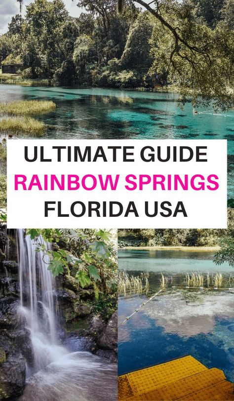 Rainbow River Florida, Rainbow Springs Florida, Springs In Florida, Rainbow Springs State Park, Usa Trips, Florida Vacation Spots, Travel Couples, Florida Parks, Rainbow Springs