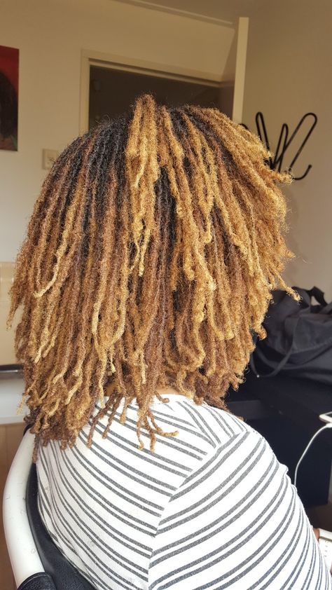 Honey Blonde Ombre Locs, Honey Blonde Micro Locs, Honey Blonde Sisterlocks, Blonde Micro Locs, Mirco Locs, Lox Styles, Locs Color, Blonde Locs, Colored Locs