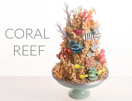 Coral Reef Cake, Reef Cake, Aquarium Cake, Coral Cake, Cake Decorating Courses, Petal Dust, Sea Cakes, Smooth Cake, The Great Barrier Reef