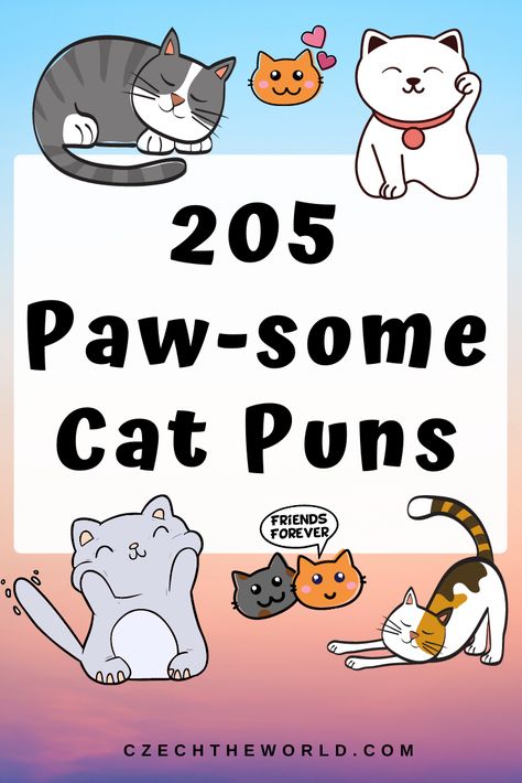 Funny Cat Jokes Humour, Cute Cat Quotes Funny, Cat Lovers Birthday Cards, Cat Puns Captions, Cat Quotes Funny Cute, Cats Quotes Funny, Halloween Cat Puns, Funny Animal Birthday Cards, Funny Animal Puns