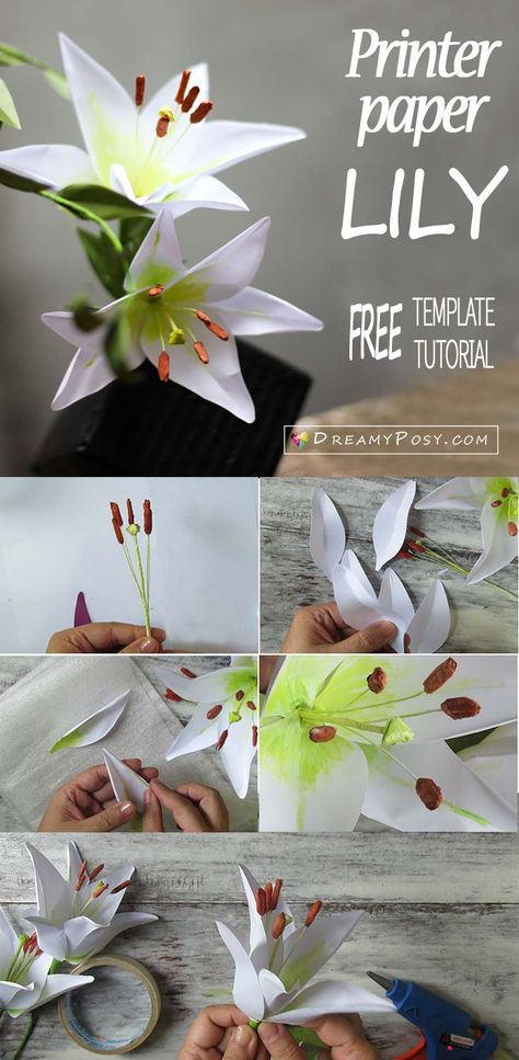 Paper Lily, free template and tutorial, paper flower tutorial Paper Lily Flower, Paper Lilies, Construction Paper Flowers, Paper Lily, Construction Paper Crafts, Fleurs Diy, Rainbow Paper, Paper Flower Template, Crepe Paper Flowers