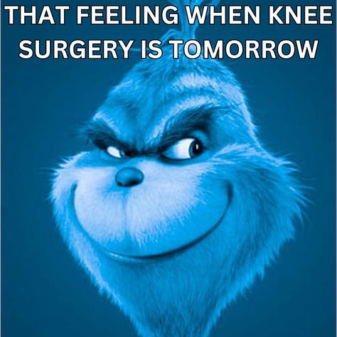 That feeling when knee surgery is tomorrow… But you have to write erotica tonight. #thatfeelingwhenkneeesurgeryistomorrow #kneesurgery #erotica #spicyauthor #memes #thatfeelingwhen #thatfeeling That Feeling When Knee Surgery Tomorrow, Silly Mf, Knee Surgery, I Dont Have Friends, That Feeling, Grinch, Surgery, Feelings, Collage