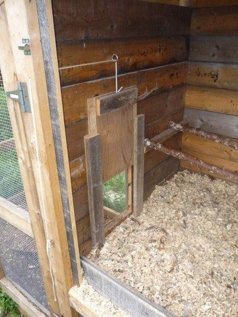 Chicken coop door Chicken Coop Door, Urban Chicken Farming, Coop Door, Portable Chicken Coop, Chicken Coup, Diy Chicken Coop Plans, Urban Chickens, Best Chicken Coop, Chicken Coop Designs