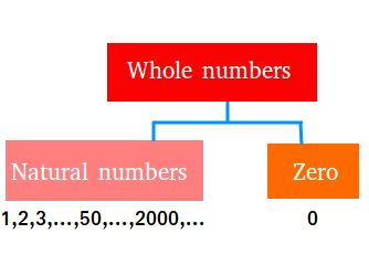 Definition of whole numbers and their physical representations using cubes. Whole Numbers Definition, Number Magic, Natural Number, Whole Numbers, Learning Mathematics, Pre Algebra, Math Numbers, Learning Numbers, Important Facts