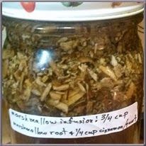 Marshmallow Root Tincture Recipe, Marshmallow Root Tincture, Herb Information, Healing Drinks, Plants For Health, Nutritional Healing, Tinctures Recipes, Homemade Medicine, Sips Tea