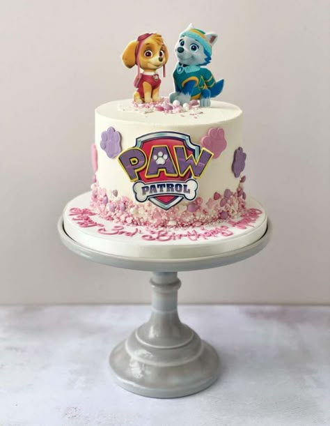 Girly Paw Patrol Cake, Skye Everest Cake, Sky Everest Cake, Paw Patrol Cake Skye Everest, Paw Patrol Birthday Decorations Girl, Paw Patrol Cake Girly Simple, Sky And Everest Birthday Cake, Skye Paw Patrol Birthday Cake, Paw Patrol Cake For A Girl