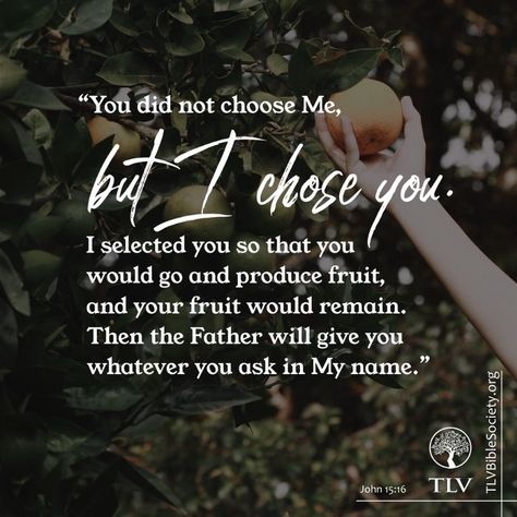 “You did not choose Me, but I chose you. I selected you so that you would go and produce fruit, and your fruit would remain. Then the Father will give you whatever you ask in My name.” John 15:16 TLV  #TLVBible #verseoftheday #treeoflifeversion #bibleverse #Bible #BibleVerses #scripturereading #biblereading #treeoflifebible John 15:16 I Chose You, I Chose You, Short Bible Quotes, John 15 16, Faith Verses, Verse Tattoos, Vision 2024, Bible Words Images, How High Are You