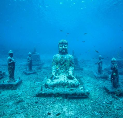 Underwater Buddha Meditation Photography, Istanbul Food, Meal Breakfast, Nusa Ceningan, Sunken City, Buddha Garden, Buddhist Shrine, Buddha Temple, Lunch Food