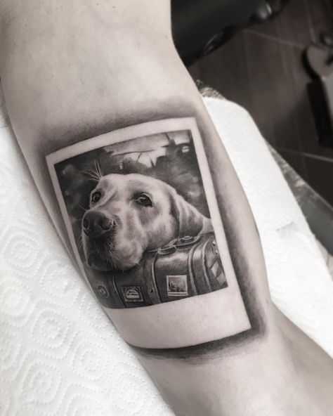 Tattoo artist Zinaida Pasko color and black and grey portrait realism, minimalism | Moscow, Russia | #inkpplcom #colortattoo #blackandgrey #realistictattoo #colorrealismtattoo #paskotattoo #portraittattoo #minimalism #minimalisticink #realism Black And Grey Portrait, Golden Retriever Tattoo, Tatoo Dog, Dog Portrait Tattoo, Dog Memorial Tattoos, Tattoo Master, Inspiration Tattoos, Instagram Tattoo, Memorial Tattoos