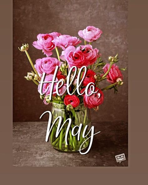 Welcome May 2024!! Quotes About Spring, April Wallpaper Aesthetic, Hello May Quotes, Spring Wallpaper Iphone, April Images, Aesthetic Spring Wallpaper, Wallpaper April, April Aesthetic, April Wallpaper