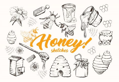 Honey sketches set, beehive, honey jar, ... | Free Vector Honey Bee Tattoo, Bee Tattoos, Illustration Realistic, Tattoo Sheet, Bee Images, Bee Drawing, Realistic Sketch, Theme Tattoo, Doodle Icon