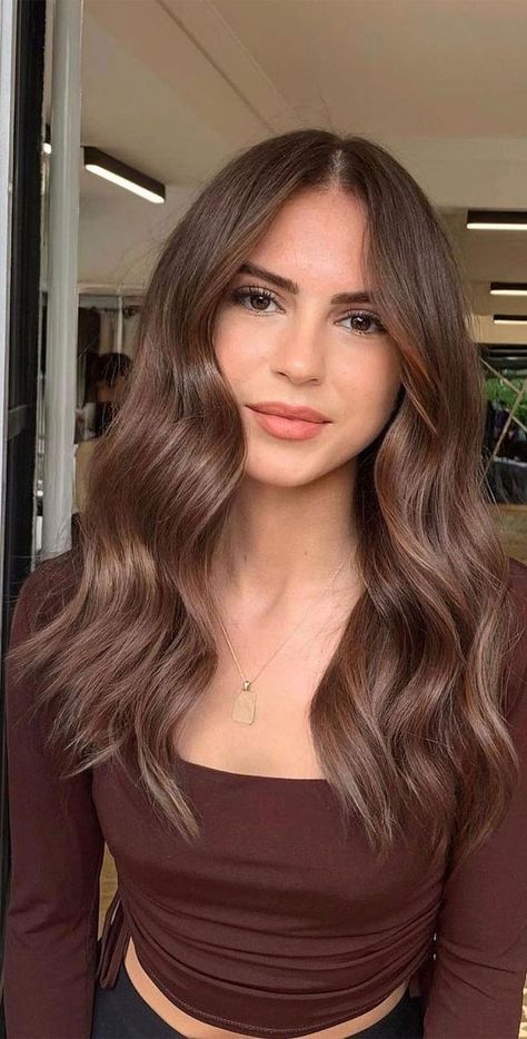 Brown Hair Colors One Color, Light Chocolate Blonde Hair, Dark Brown Eye Hair Color Ideas, All Over Color Brunette Brown Hair, Muted Hair Color For Brunettes, Brown Hair Color Without Highlights, Mill Chocolate Brown Hair, Light Brown Hair Colour Ideas, Light Brown Hair Single Color