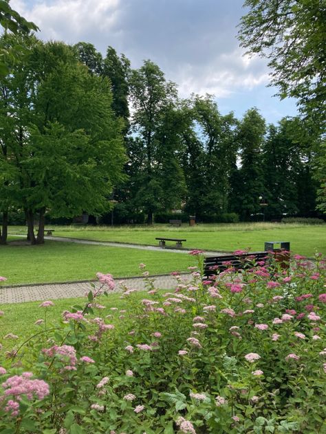 Picnic park fairytale aesthetic vibes Garden Park Aesthetic, Green Park Aesthetic, Park Picnic Aesthetic, Ally Core, Winx Core, Spring Family Pictures, Park Aesthetic, Park Picnic, Beautiful Parks