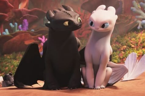 Toothless Light Fury, Toothless And Light Fury, Train Dragon, Light Fury, Httyd 3, Felix Hyunjin, Dragon Trainer, Night Fury, Toothless