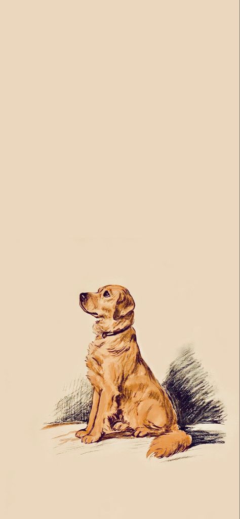 Golden Retriever Sketch Image (iPhone's Wallpaper) Aesthetic Dog Background, Labrador Wallpaper Iphone, Golden Retriever Background, Golden Retriever Wallpaper Aesthetic, Lab Dog Wallpaper, Aesthetic Dog Wallpaper Iphone, Golden Retriever Puppy Wallpaper, Labrador Retriever Wallpaper, Aesthetic Dog Wallpaper