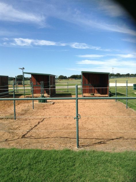 Small Horse Paddock, Horse Training Facility, Horse Boarding Facility Ideas, Horse Pasture Shelter, Horse Pasture Ideas, Stable Plans, Pasture Shelter, Horse Turnout, Dream Barn Stables